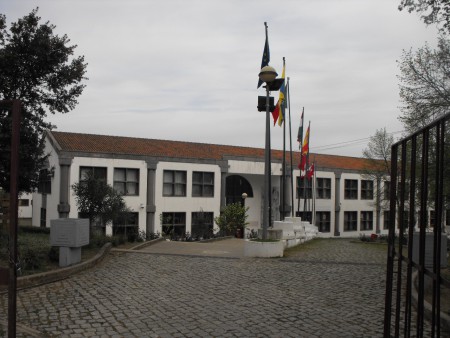 Flags