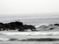 /album/whole-day-visit-in-porto/p4150775-jpg/
